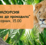 самарский зоопарк приглашает на экскурсию "От льва до крокодила" - НИА Самара