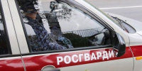 В Пскове росгвардейцы поймали пару с поличным при краже из гипермаркета - Pln-Pskov.Ru