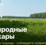 🔥 Внимание! В нашей карусели — важная информация о лесных пожарах! 🔥. - Свечинский муниципальный округ
