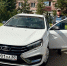 Фото: региональный комитет по ветеринарии - InformPskov.Ru