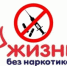 В Волгоградской области пройдут два просветительских события направленных на популяризацию здорового образа жизни - Газета Звезда