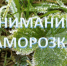  О возможном ухудшении метеорологической обстановки. - Город Шарыпово
