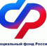 Более 700 заявок на оформление новой семейной выплаты поступило в Отделение СФР по Республике Алтай в первый день приема - Администрация города