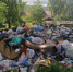 В Смоленской области выявили 17 свалок на сельхозземлях: ущерб оценили в 6,5 млн рублей - SmolDaily.Ru