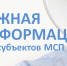О запуске двух ключевых сервисов для субъектов малого и среднего предпринимательства. - Пестовский район