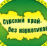 В Пензенской картинной галерее в рамках ежегодной региональной акции «Сурский край — без наркотиков!» состоялся интерактивный «Цветочный квест» - Картинная галерея им. К.А. Савицкого