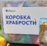 Студенты и сотрудники Политеха собрали для детей десять «коробок храбрости» - СПб ГПУ