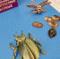 Для детей сотрудников УлГТУ провели экскурсию во Дворце книги - УлГТУ