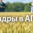 Приглашаем на вебинар: Развитие сети агроклассов в рамках проекта «Кадры в АПК» - Министерство АПК и продовольственной политики
