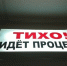 Три жителя Санкт-Петербурга незаконно получили 2,6 млрд рублей как жители приграничья - Курские Известия