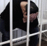 Ленинским районным судом г. Луганска местный житель признан виновным в реализации контрафактной продукции . - Город Ровеньки