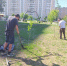 Общественные пространства Курска убирают 30 человек - Городские Известия