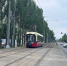Шестерых зацеперов задержали в Нижнем Новгороде - фото 1 - vGorodeN.Ru