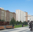 В Курске в парке «Патриот» высадили клён в бетон - ТК ТАКТ