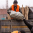 Мусора в Благовещенске стало на 900 тонн меньше - Amur.Life