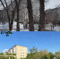Результат уборки деревьев, фото: Народный фронт Оренбургской области - Ural56.Ru