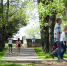 О погоде в июне рассказали синоптики Коми - ИА Комиинформ