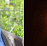 Утрата: ушел из жизни Белоконев Владимир Николаевич - Газета Рассвет