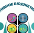 Благодаря программе "Инициативное бюджетирование" кувандыкские села преображаются - Кувандыкский городской округ