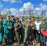 Порядка 350 тысяч деревьев уже высадили на Вологодчине благодаря акции «Сад памяти» - Правительство Вологодской области
