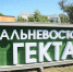 10 лет «Гектару»: более 4, 6 тысяч жителей Бурятии получили землю в безвозмездное пользование - Администрация Республики Бурятия