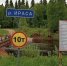 Фото дорожного агентства «Архангельскавтодор» - Пресс-центр Правительства