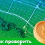 Покупка земли кажется простой сделкой, но часто после оформления документов всплывают неприятные сюрпризы. - Великоустюгский муниципальный округ