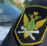 Йошкаролинка пыталась спрятать свою иномарку, но ее нашли и арестовали - Pg12.Ru