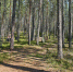 Фото: ПАИ - InformPskov.Ru