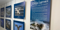Новое пространство «Юности»: география, природа и история на карте региона - Администрация г. Калининграда