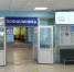 Кровососы продолжают нападать на жителей Кировской области - Prochepetsk.ru