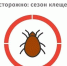 Клещи: угроза для людей и домашних животных — меры профилактик - Управление ветеринарии