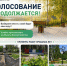 Продолжается голосование за благоустройство. - Муезерский район