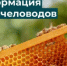 Россельхознадзор разъясняет пчеловодам правила безопасности при обработке полей пестицидами - Шолоховский район