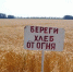 Сохранить урожай от огня – «Священный долг каждого». - Администрация Ейского района