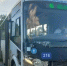 В Омске водитель автобуса потерял сознание за рулём - Om1.Ru