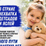 img - ЛДПР
