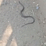 КаспийИнфо. Новости Астрахани и региона - KaspyInfo.Ru