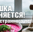 Конец эпохи кваса: этим странным летом окрошку заменила свекольная «кефирная аномалия» - Gorodvo.Ru