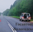 На трассе в Тарногском округе пассажирка выпала из машины на ходу - OnlineVologda.Ru