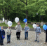 img - ЛДПР