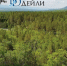 Все лесные пожары в Бурятии потушили - ИА Байкал-Daily