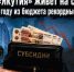 Технопарк «Якутия» живет на субсидии, получив в 2025 году из бюджета рекордные 0,6 млрд рублей - ИА SakhaTime