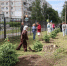 В тульском медколледже высадили аллею выпускников - Молодой коммунар