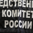 Бастрыкин поручил отчитаться по делу об изъятии детей у томички - ГТРК Томск