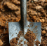 В Балашове ссора соседей закончилась ударом лопаты и уголовным делом - ИА Версия-Саратов