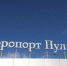 Петербуржцам рассказали, как работает Пулково в условиях ограничений - Spbdnevnik.ru