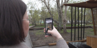 В правительстве края просят навести порядок в Авачинском парке  Вилючинска. Фото: kamgov.ru. Фотография 1 - ИА Камчатка
