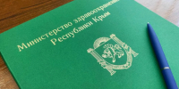 Минздрав Республики Крым проведет прием граждан по вопросам материнства и детства - Минздрав Крыма