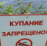 Администрация Комсомольска напоминает горожанам о мерах безопасности на воде - Администрация г.Комсомольска-на-Амуре